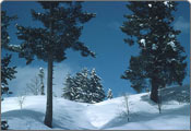 Gulmarg Tour