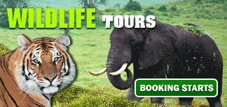 India Wildlife Adventure Tour