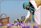 Kishtwar Hill Station Tour