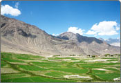 Nubra Valley Tour