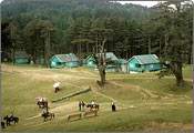 Patnitop Hill Station Tour